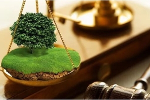 Земельные споры: борьба на истощение или возможность договориться?